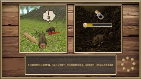 ����ģ�������İ�