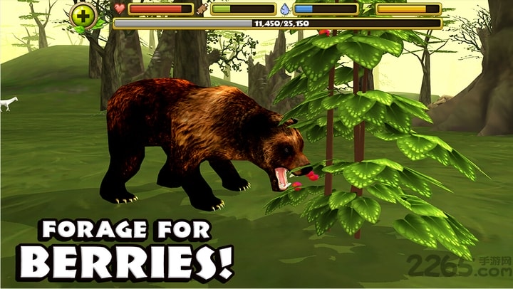 ����ģ��������2026���°�