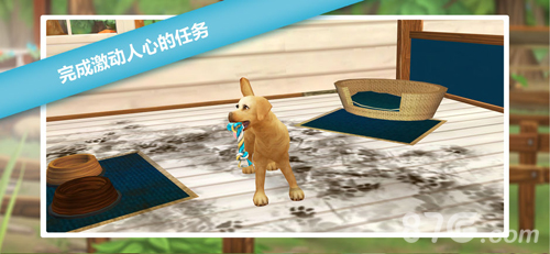 è���붯��֮��