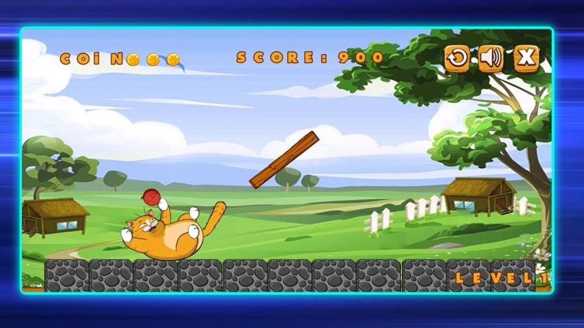 �����������뿴