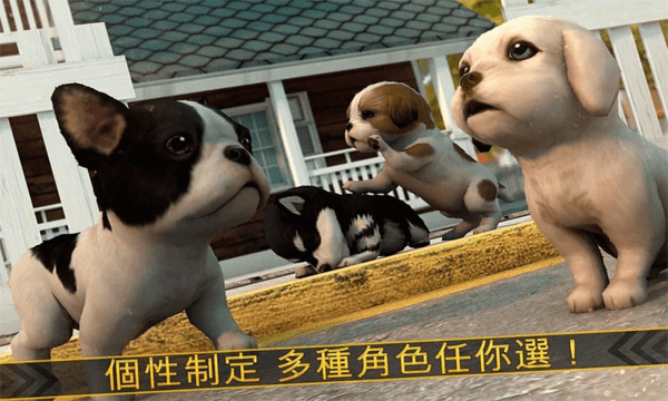 ����С���󴳹�