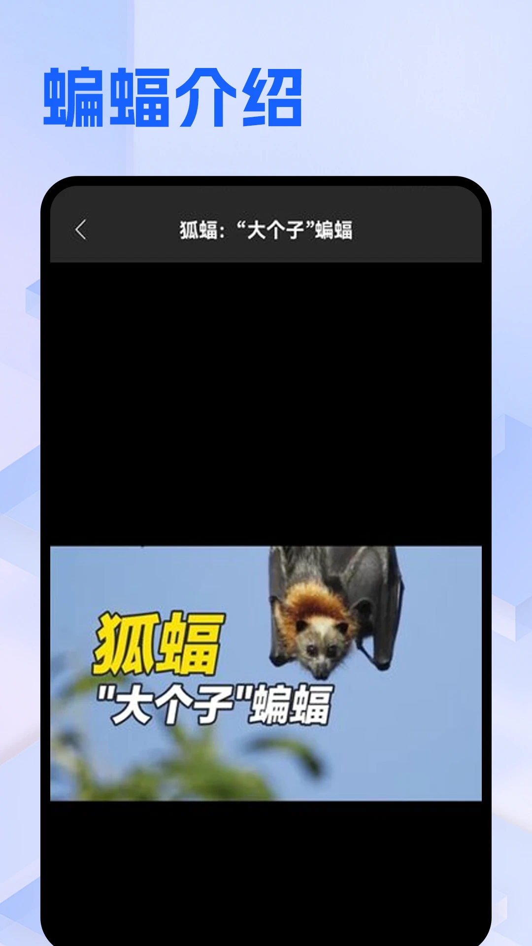 ��������2026�ֻ���