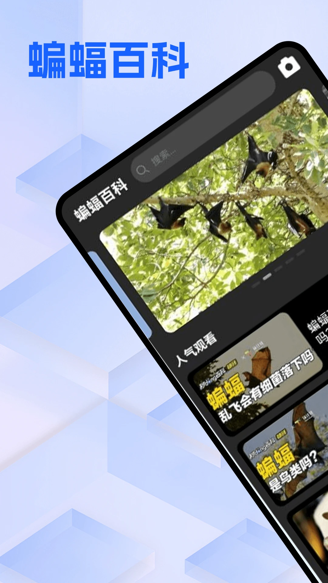 ��������2026�ֻ���