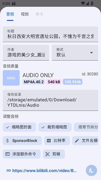 YTDLnis开源视频下载器