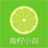 ����С˵app