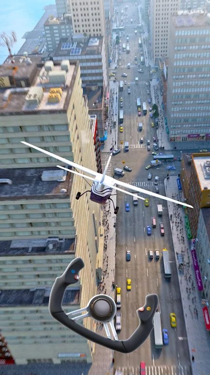 ���ķɻ���½��Ϸ(Crazy Plane Landing)