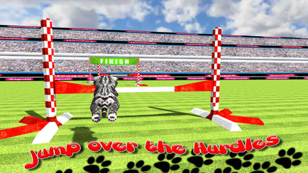 è���˶���