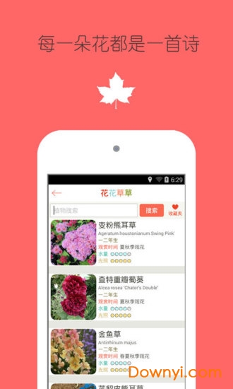 花之谷