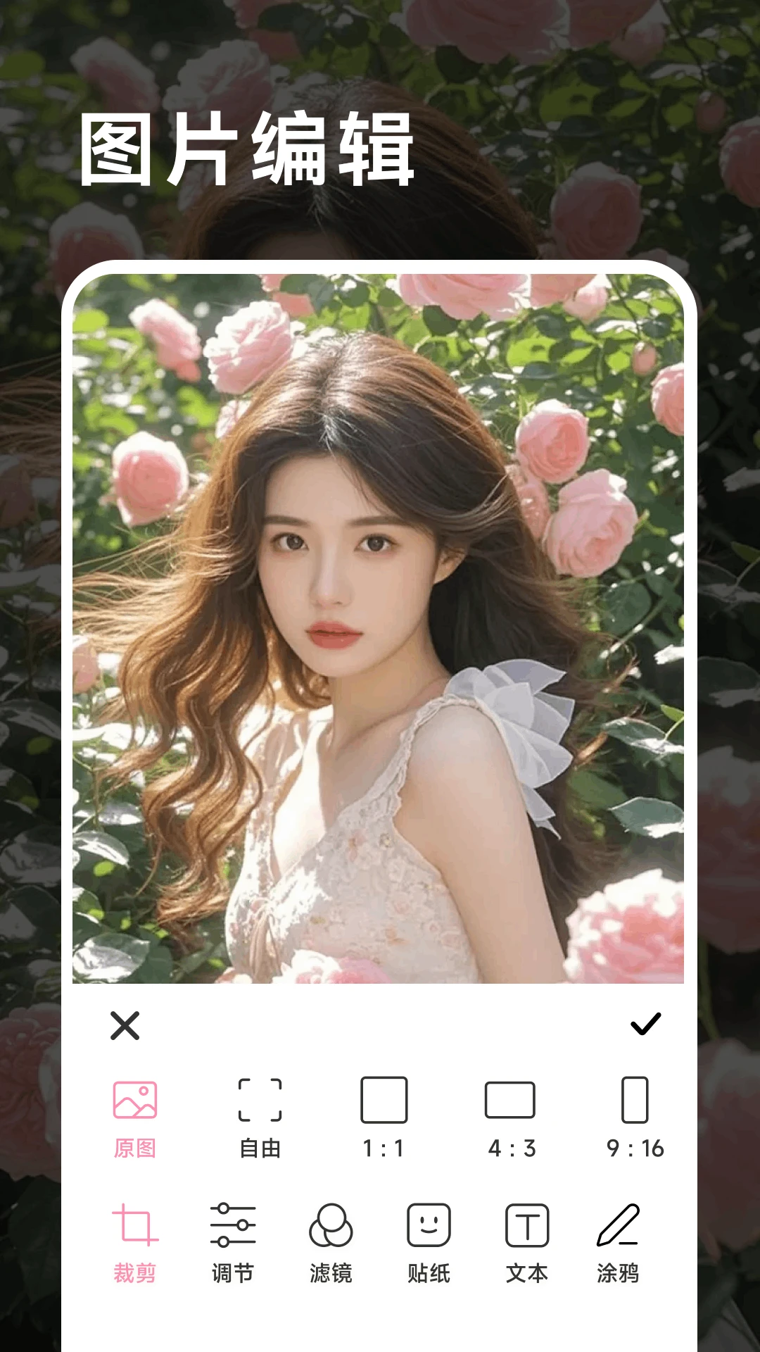 ������Ƶ