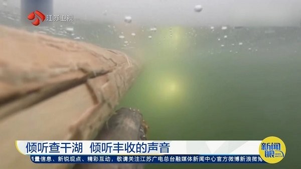 瑤瑷直播