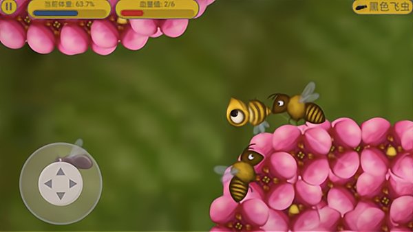 ��ζ���������è