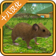 ����ģ�������İ�