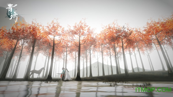 ��������ƻ����