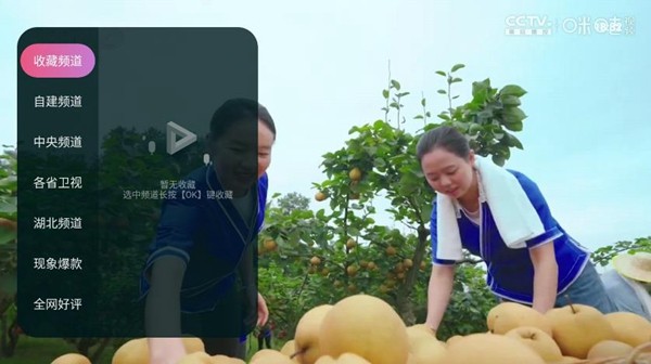 灵犀直播tv官网软件