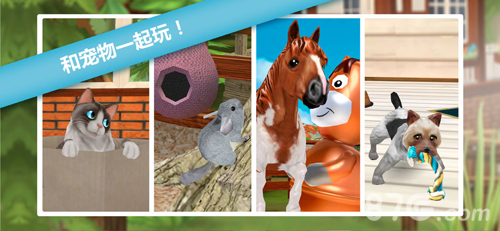 è���붯��֮��