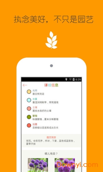 花之谷