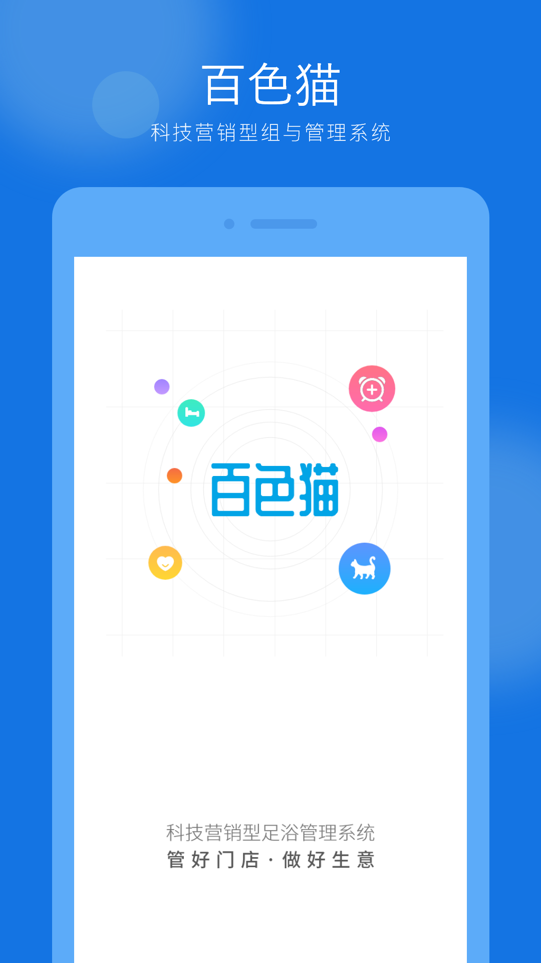 色猫