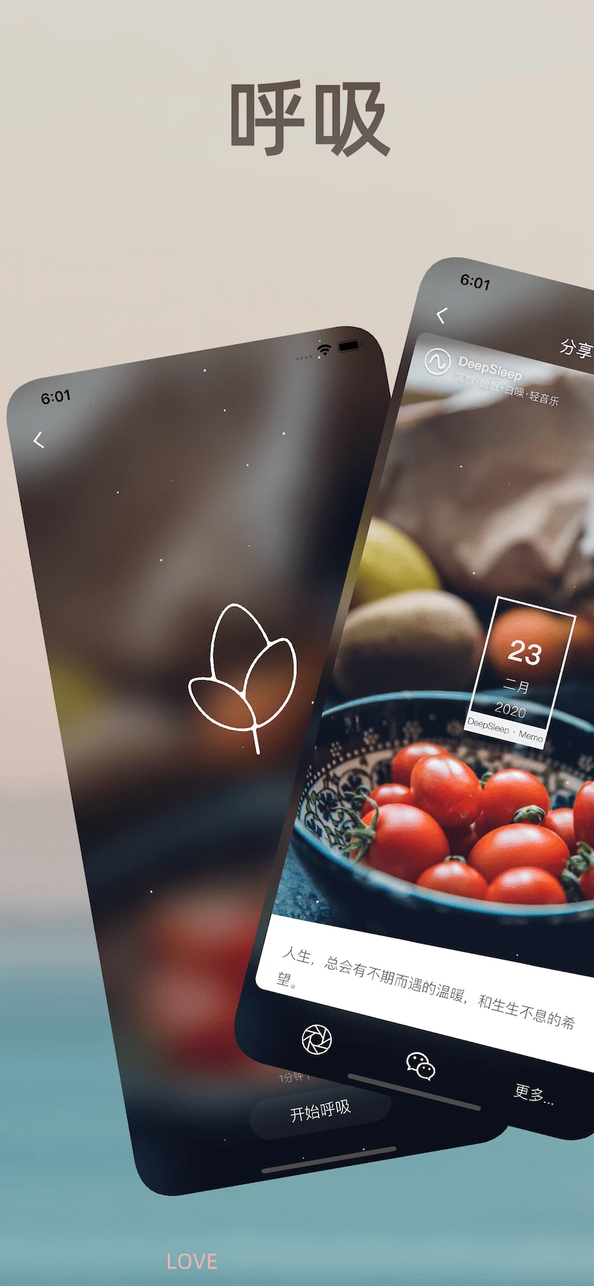 ���˯��2��Ϸ���°�