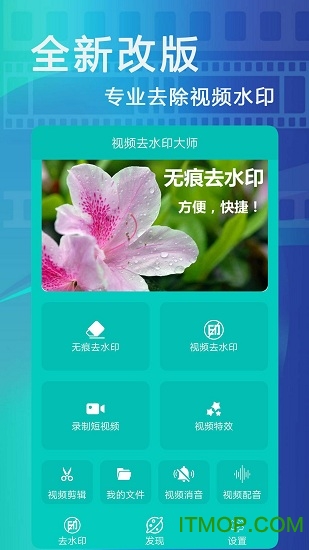 视频去水印大师