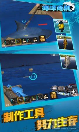 ����Σ��