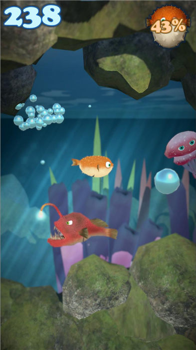 ���ĺ���