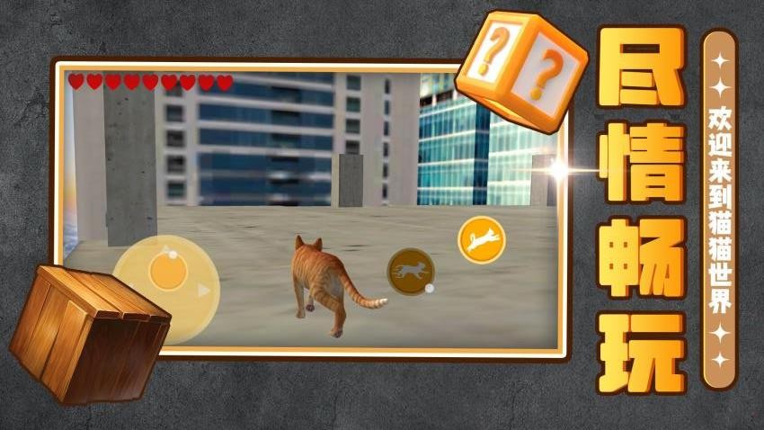 �������ռ�