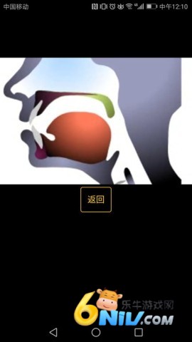 Ӣ���������ѧϰ