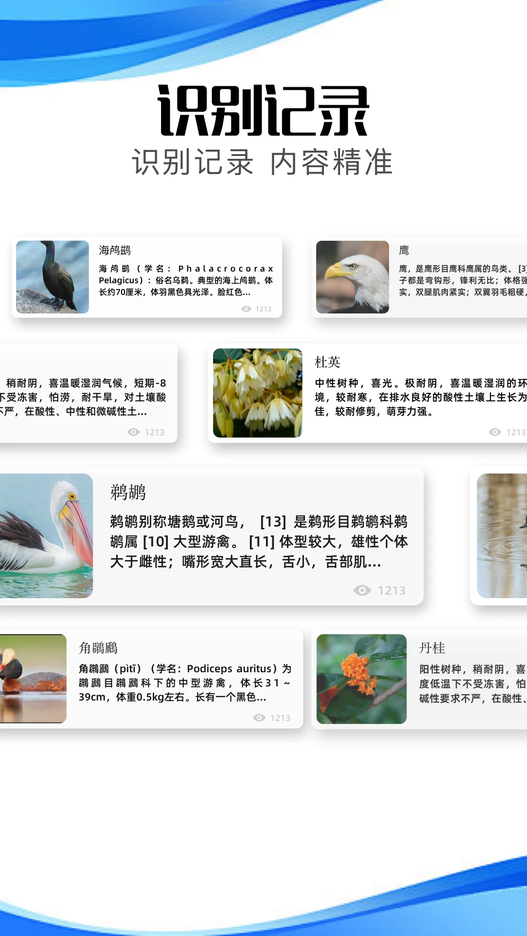 冷眸软件库2025本app