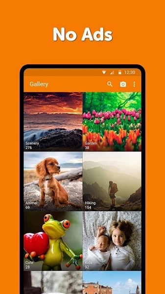 simple gallery���İ�������°�2026