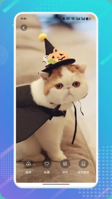 è������h2026��Ѱ�