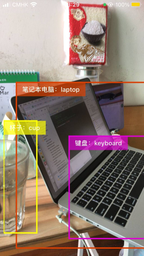 单词鸭