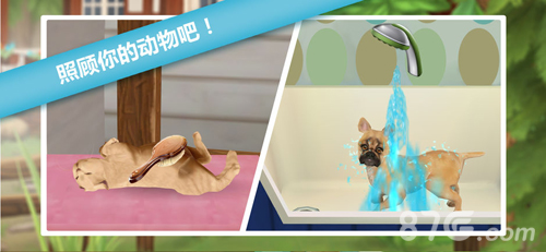 è���붯��֮��