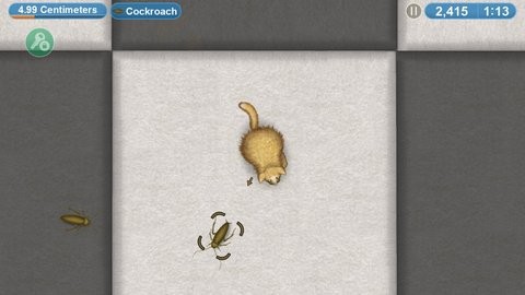 ������ζ����