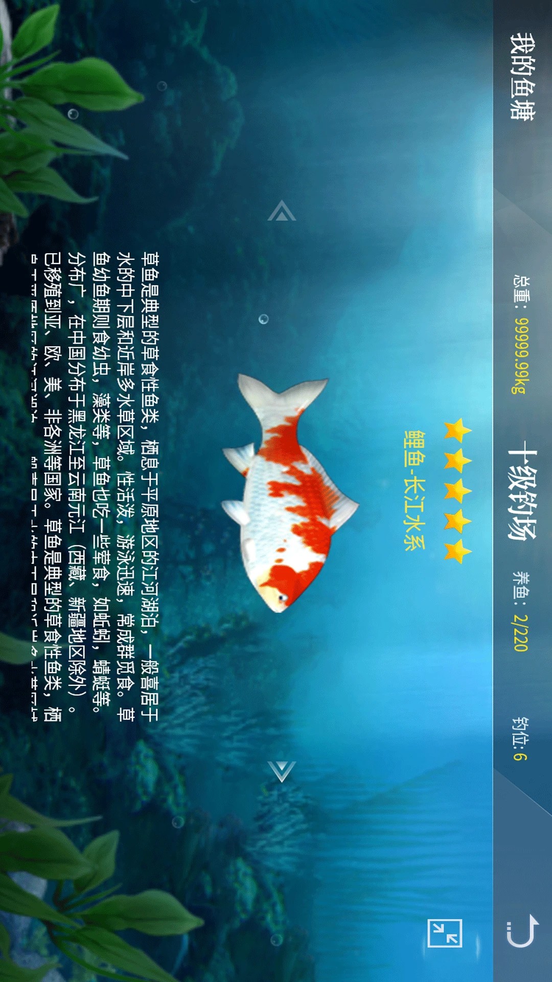 ������ʦ