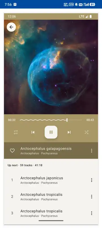 phocid���ֲ�����