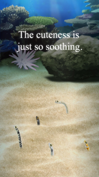 �����İ�����԰