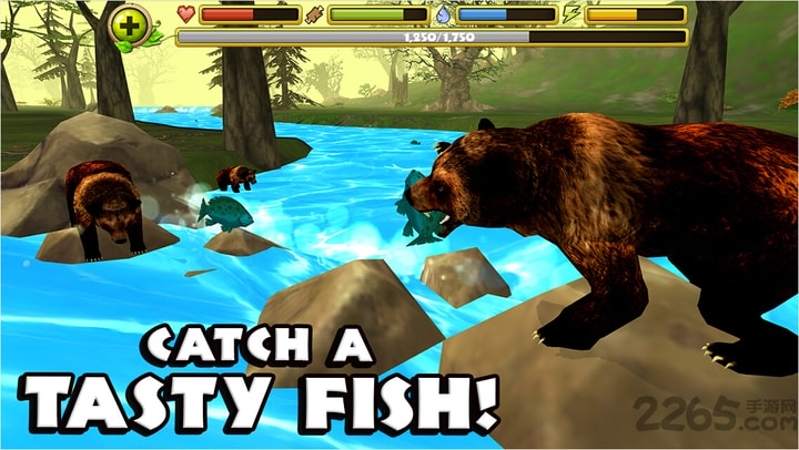 ����ģ��������2026���°�