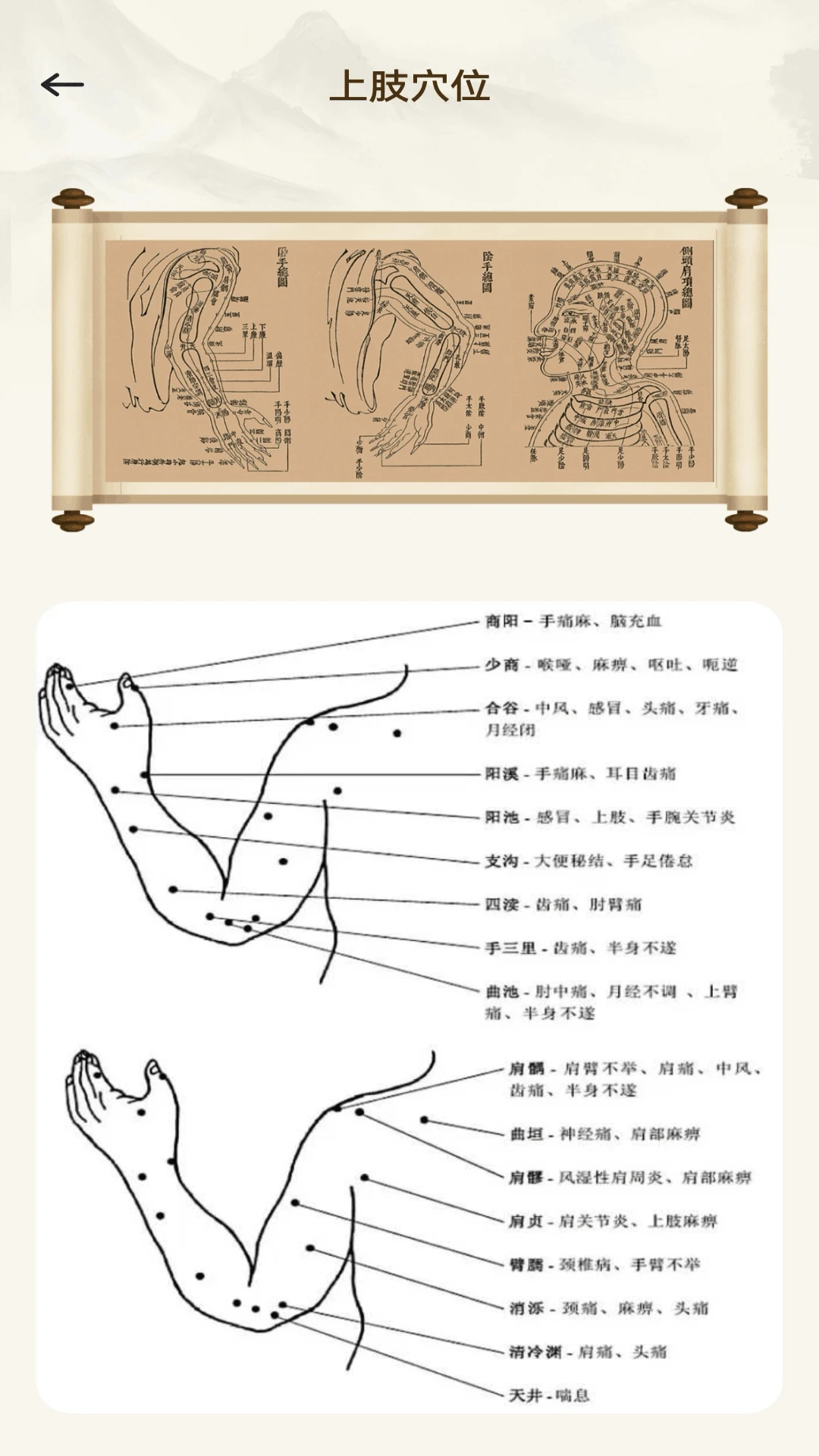 助力中医