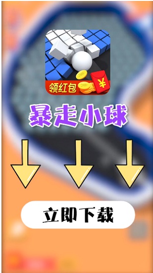 ����С��