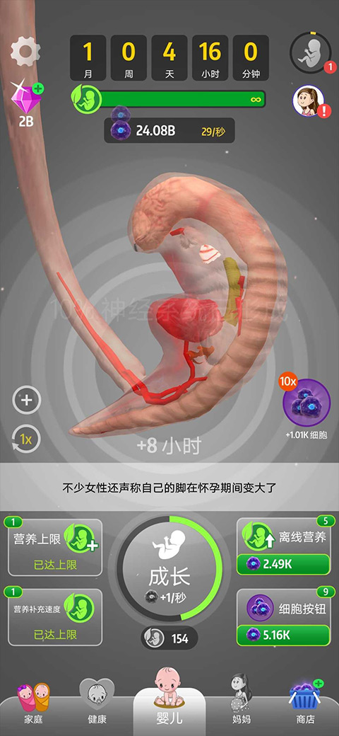 �������ʷ����