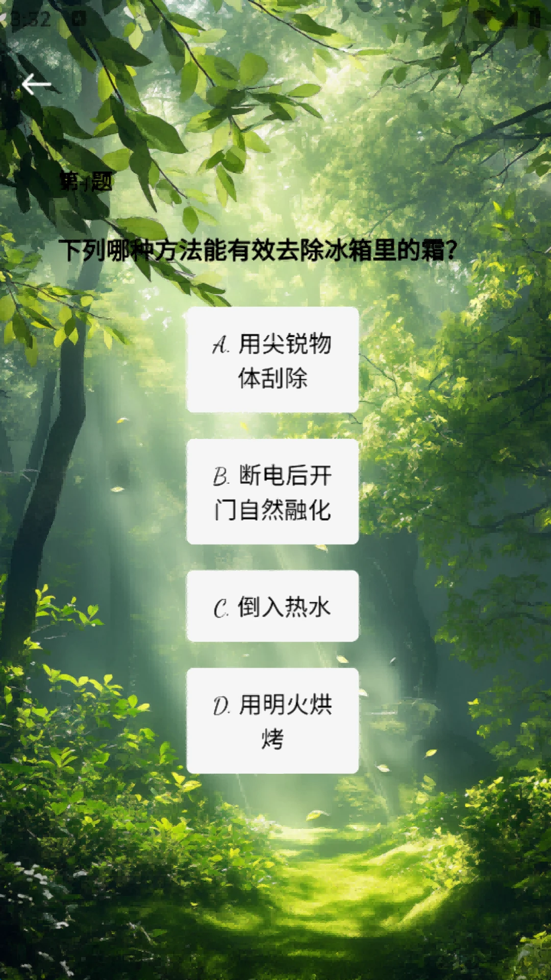 小树苗
