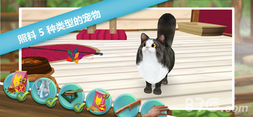 è���붯��֮��