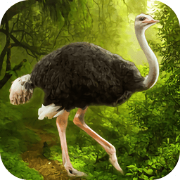 ����ģ����