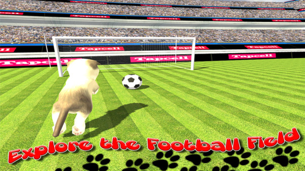 è���˶���