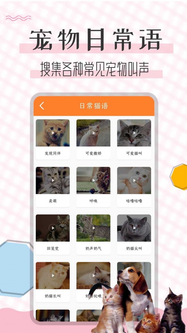 è�﷭�뱦