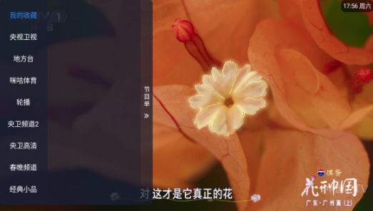 ����TV