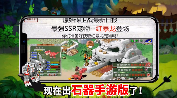 石器小豆丁