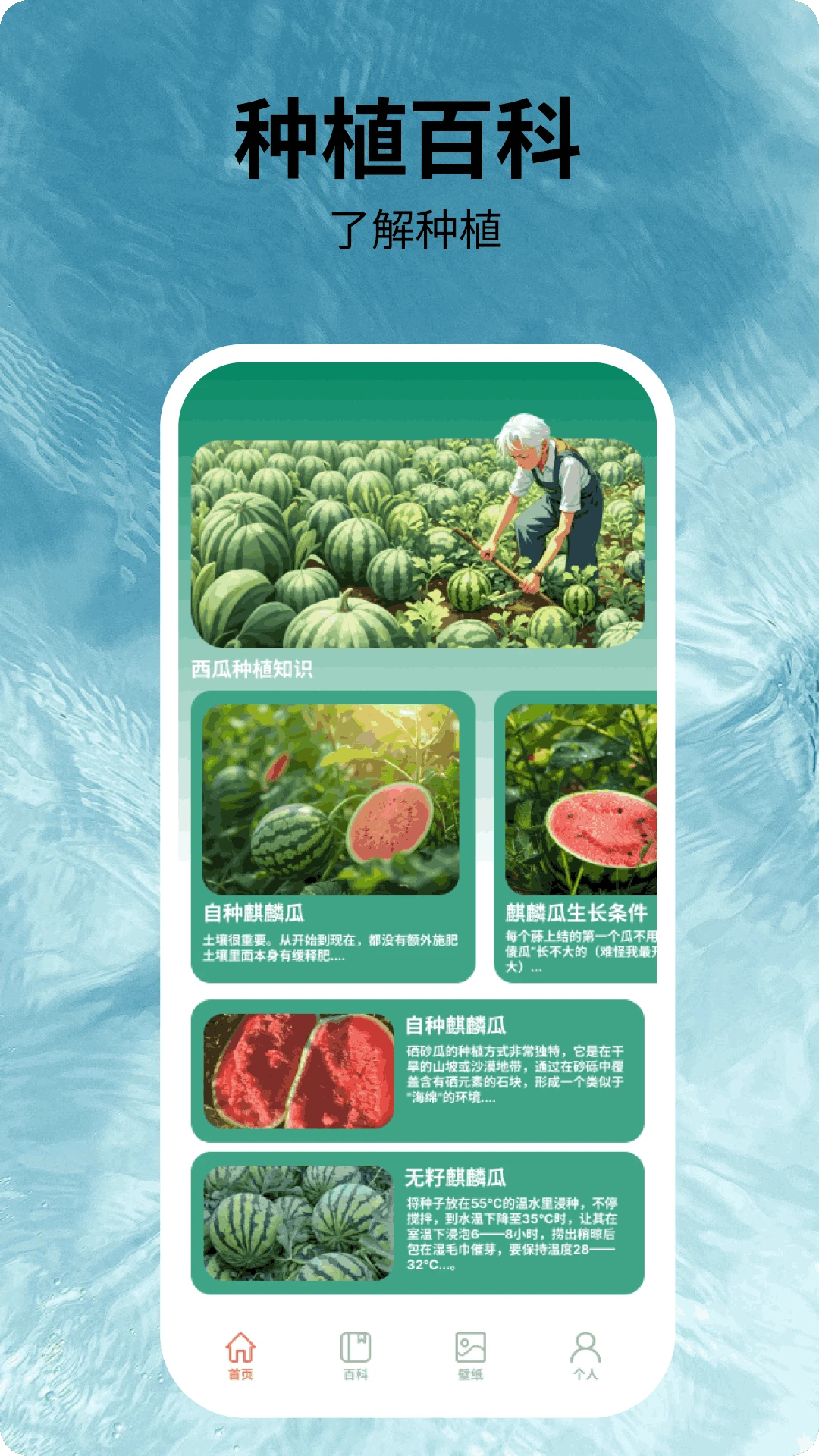 福运西瓜安卓版