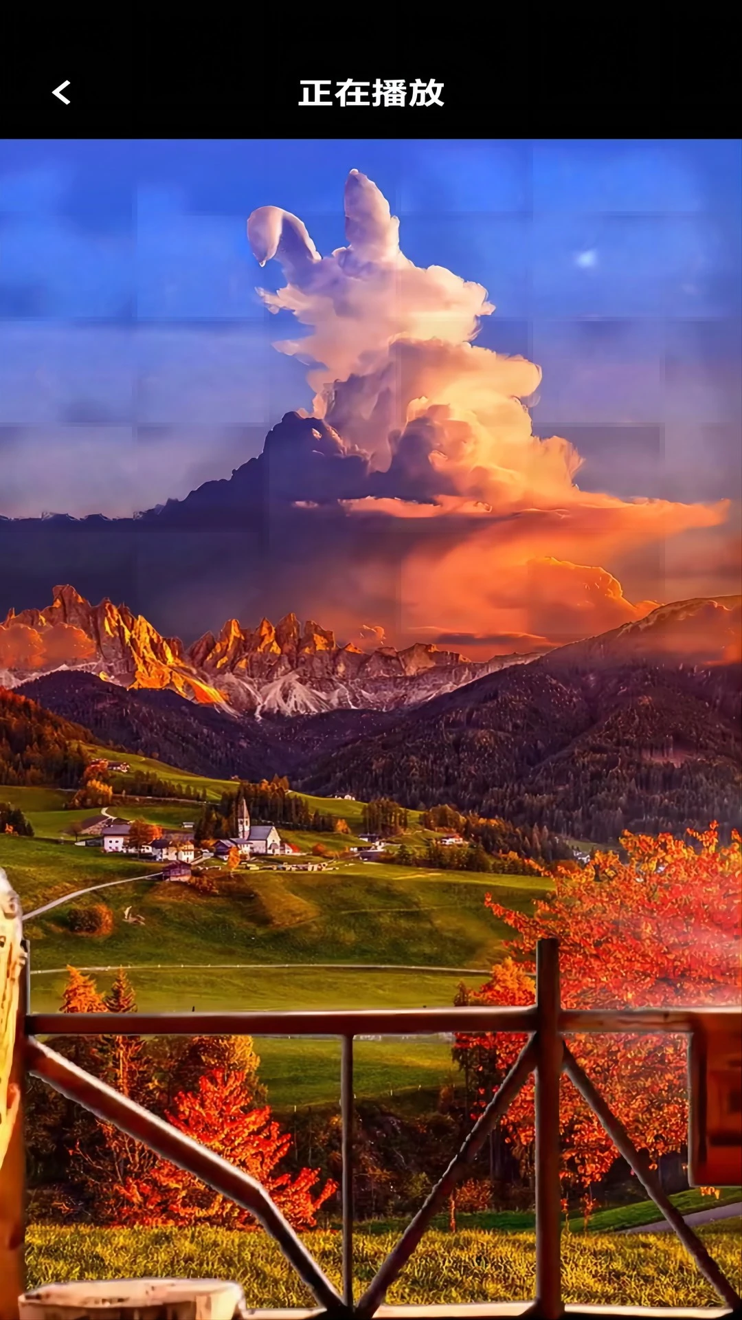 ���տ���ƵAPP�����ֻ���