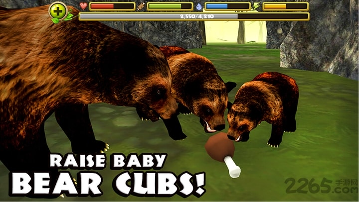 ����ģ��������2026���°�